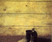 红模型 - 雷内·马格里特